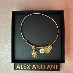Alex and Ani Charity By Design Turtle Rafaelian Bangle Bracelet